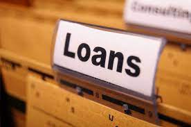 Government affiliated loan options