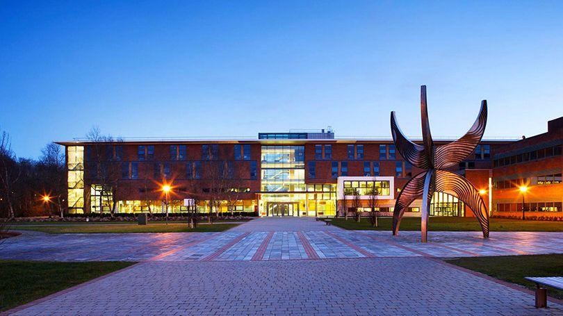 best universities in Ireland