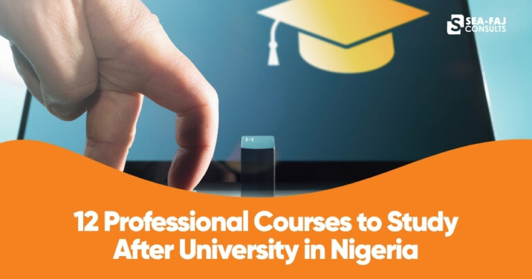 Professional Courses to Study After University in Nigeria